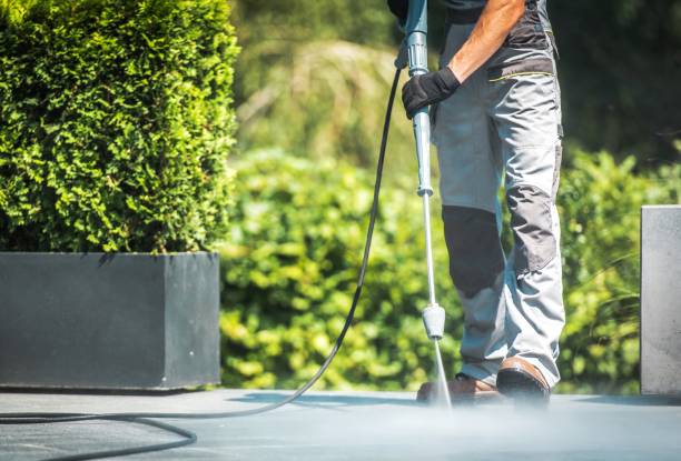 Best Machinery and Equipment Cleaning  in Doctor Phillips, FL