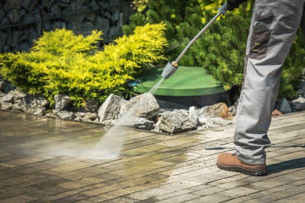 Playground Equipment Cleaning in Doctor Phillips, FL