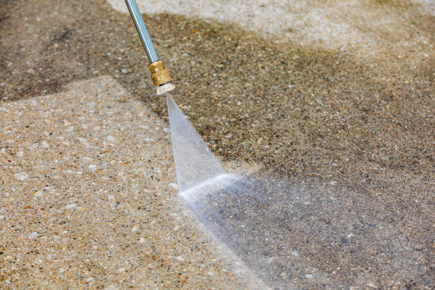 Best Sidewalk and Walkway Cleaning  in Doctor Phillips, FL